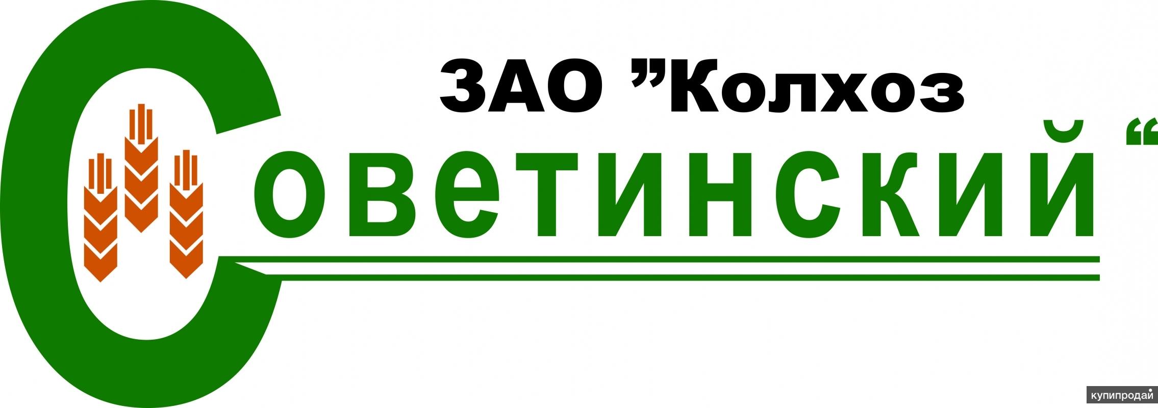 Магазин Агроном В Ростове На Дону