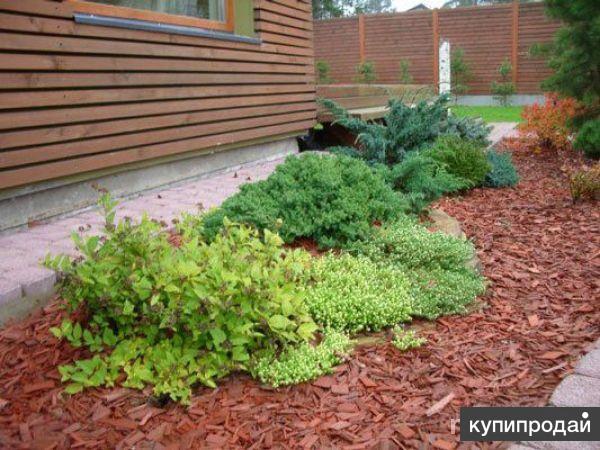 Укладка мульчи из коры Укладка мульчи из коры