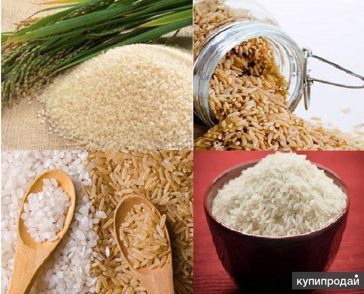 Продаю рис в ассортименте.