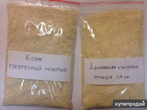 Продаю корм кукурузный молотый оптом