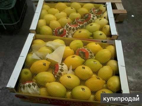 Свежие лимоны из Марокко