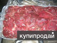 Говядина блочная из Беларуси оптом