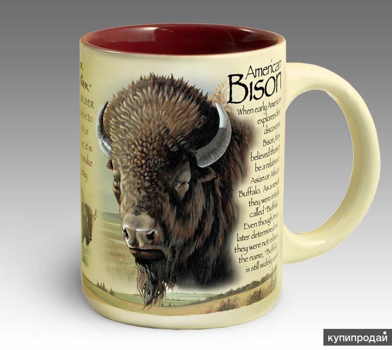Кружка керамическая American Bison (American Expedition)