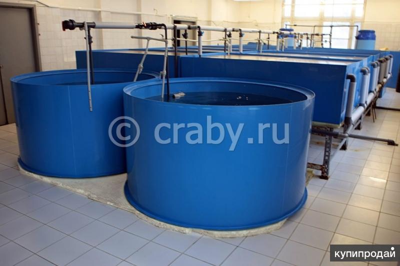Бизнес по продаже живых и замороженных морепродуктов