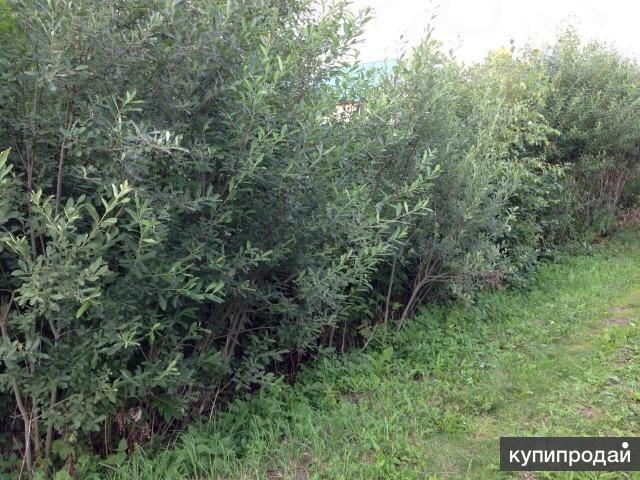 Продам участок 9 соток по Новорижскому ш.