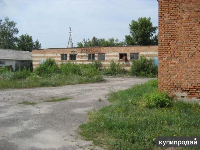 Продам производство (готовый бизнес)