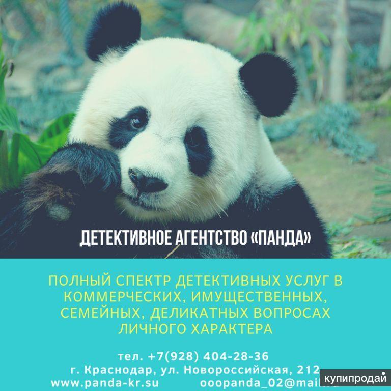 юридические и детективные услуги