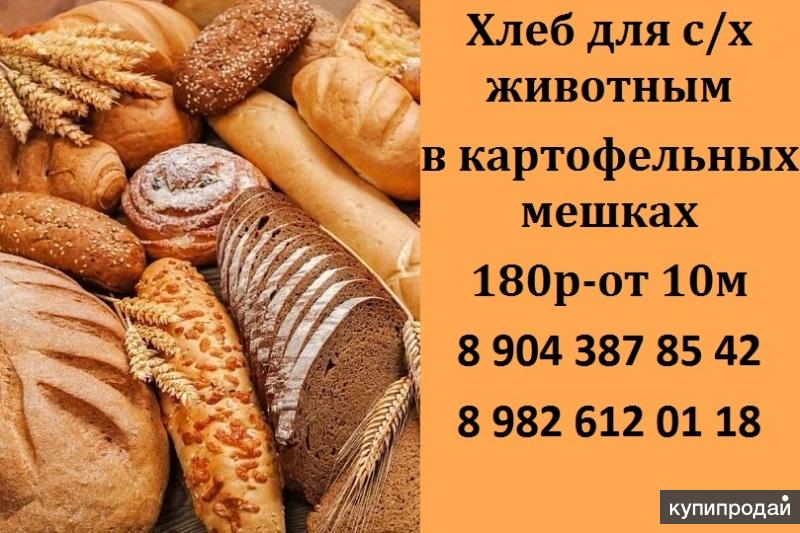 Пермь Где Можно Купить Хлеб Для Скотина