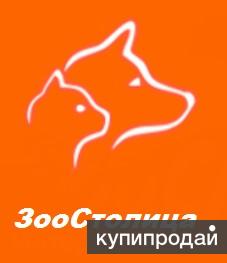 Зоостолица Интернет Магазин Корма Зоостолица Интернет Магазин Корма