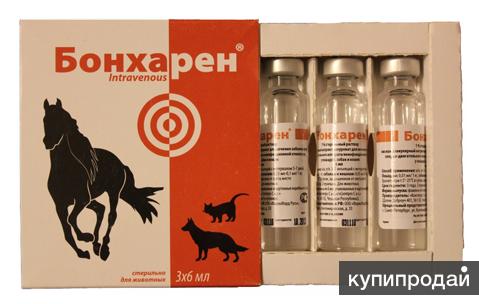 Ветеринария для лечения суставов Ветеринария для лечения суставов