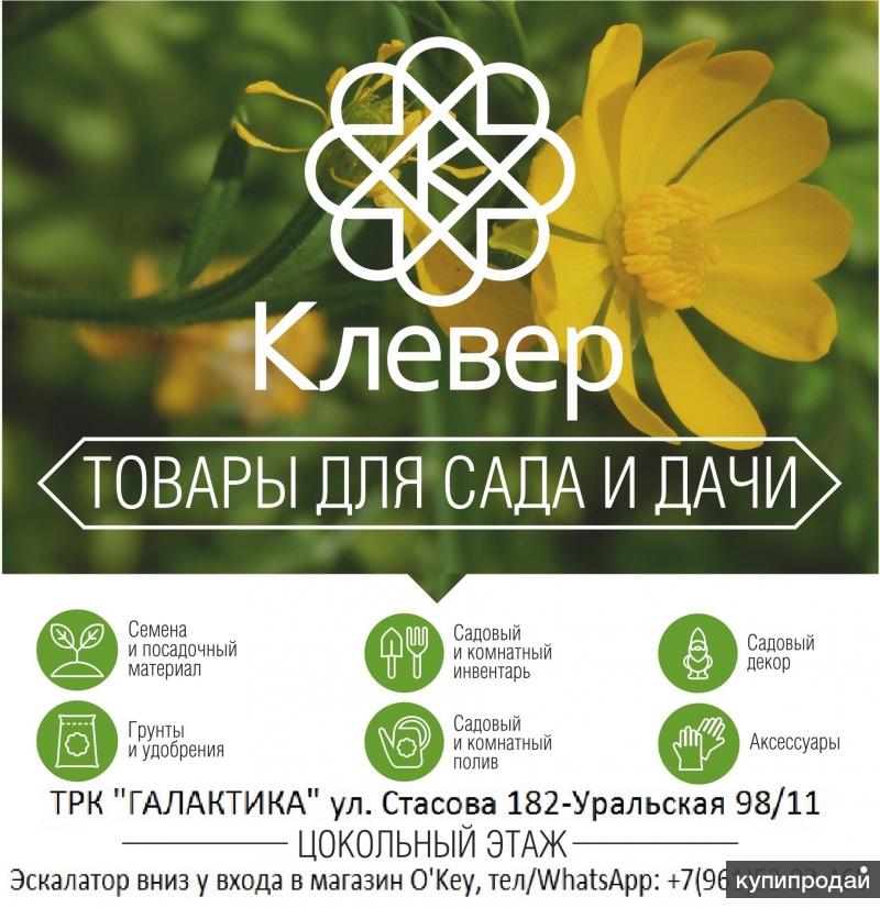 Магазин Семян Клевер