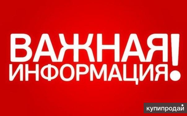 Реальный заработок в Интернете от 5 000 рублей в день.