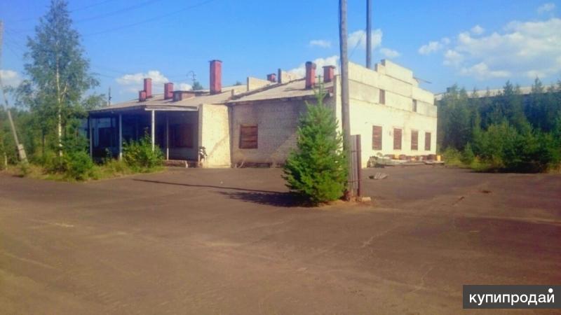 Магазины Новой Игирмы