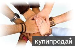 Развод. Раздел имущества. Алименты