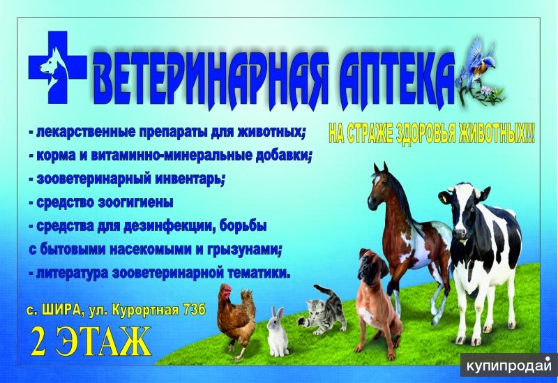 Ветеринарная Аптека Веравет В Спб