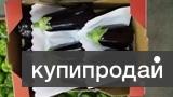 Баклажаны из Испании