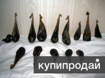 Продаём Медвежью желчь!!!