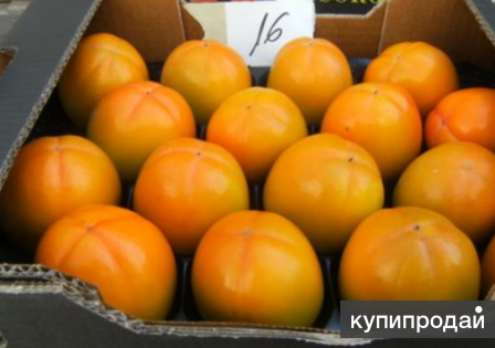 Хурма из Испании