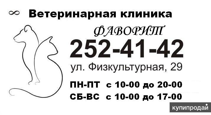Ветеринарные услуги для животных