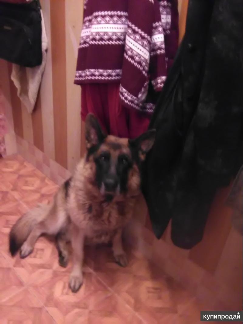 Отдам дом в дар в калязине 125