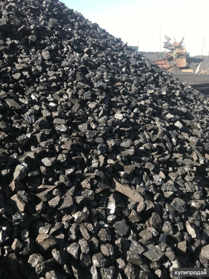 Сколько Стоит Уголь В Магазине