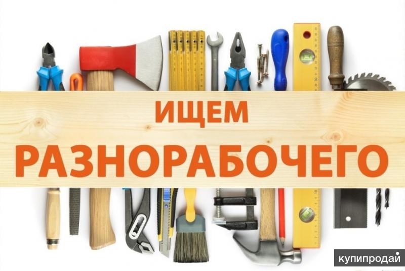 Рабочий Нужна Магазина