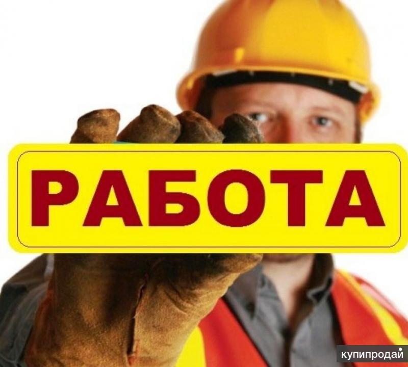 Рабочий Нужна Магазина