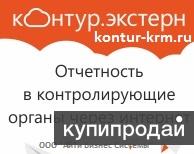 Электронная отчетность в интернет