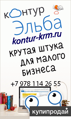 Веб-сервис для предпринимателей на УСН и ЕНВД. Контур.Эльба