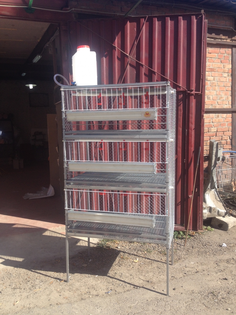 Мини фермы для содержания птиц в Ростове-на-Дону