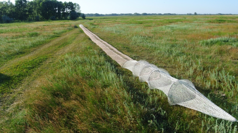 Раколовки дорожка в Рубцовске