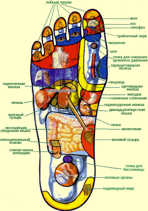 Стопы ног и внутренние органы фото с надписями для мужчин