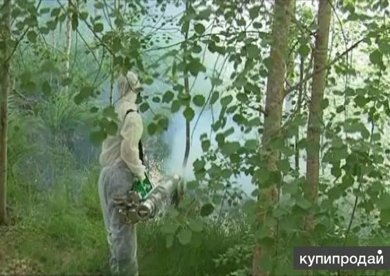 Дезинфекция обработка от короеда рыжих тараканов кротов и лесные клещи Чехов