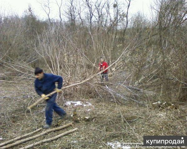 Расчистка участков,спил деревьев.