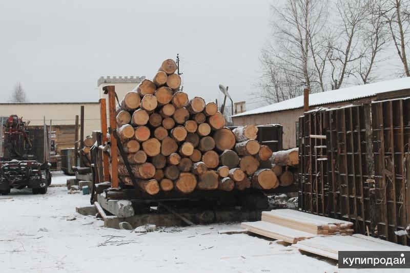 Производим и продаем. Пилорама в лесу. Лесная пилорама. Лесопилка снаружи. Пилорама пиломатериалы хвойных пород.