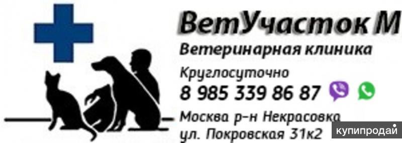 Карта ветеринарных клиник