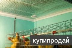 Отопление для курятника экономично