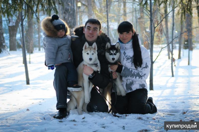 Дрессировочный центр "Богард"