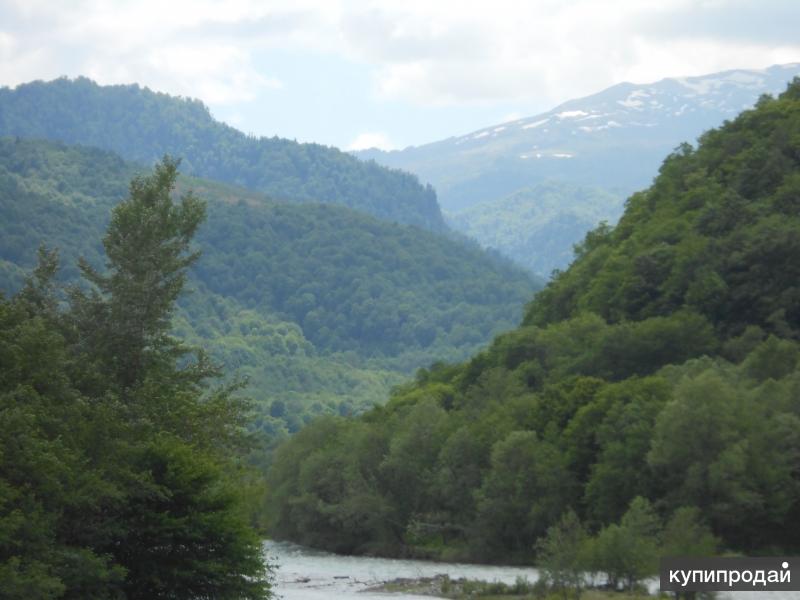 Никитино Краснодарский Край Фото
