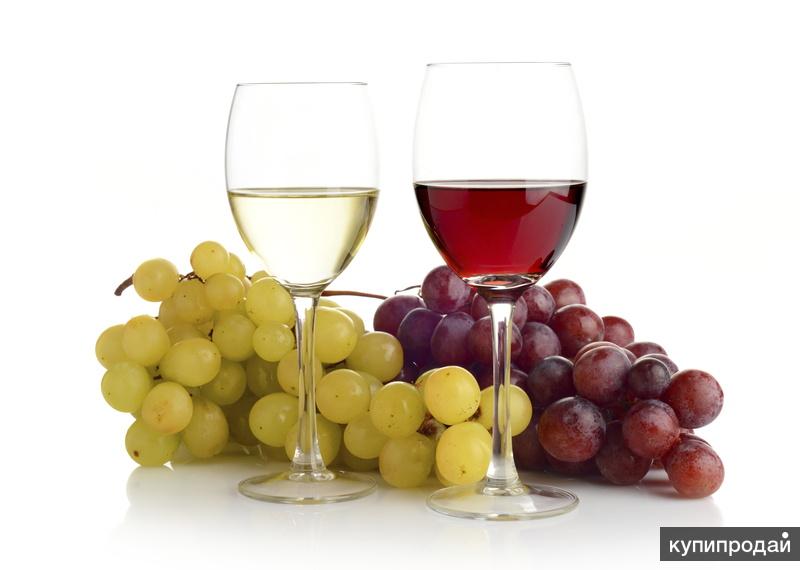 Белое вино яйца. Сангрия коктейль. Белое вино с соком. Белое вино низкокалорийное. Коктейли с вином.