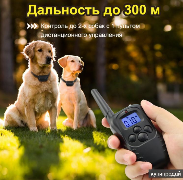 Электроошейник для дрессировки собак