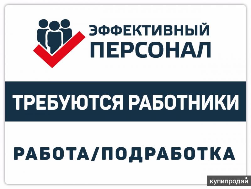 Спб прямые работодатели. Работа в Санкт-Петербурге с ежедневной оплатой. Работа СПБ вакансии для мужчин. Подработка в СПБ для мужчин Санкт-Петербург. Санкт Петербург подсобные работы вакансия подработка.