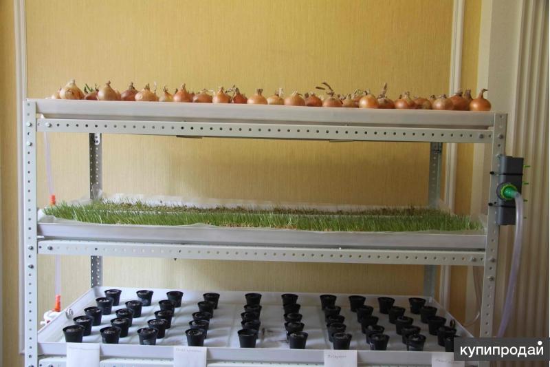 Установка Гидропонная 4 5 Ярусов Купить
