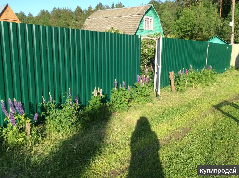 Снт прибор. СНТ прибор Воскресенский район. СНТ прибор Пласкинино. Деревня Пласкинино СНТ прибор. Дача прибор Воскресенский район.