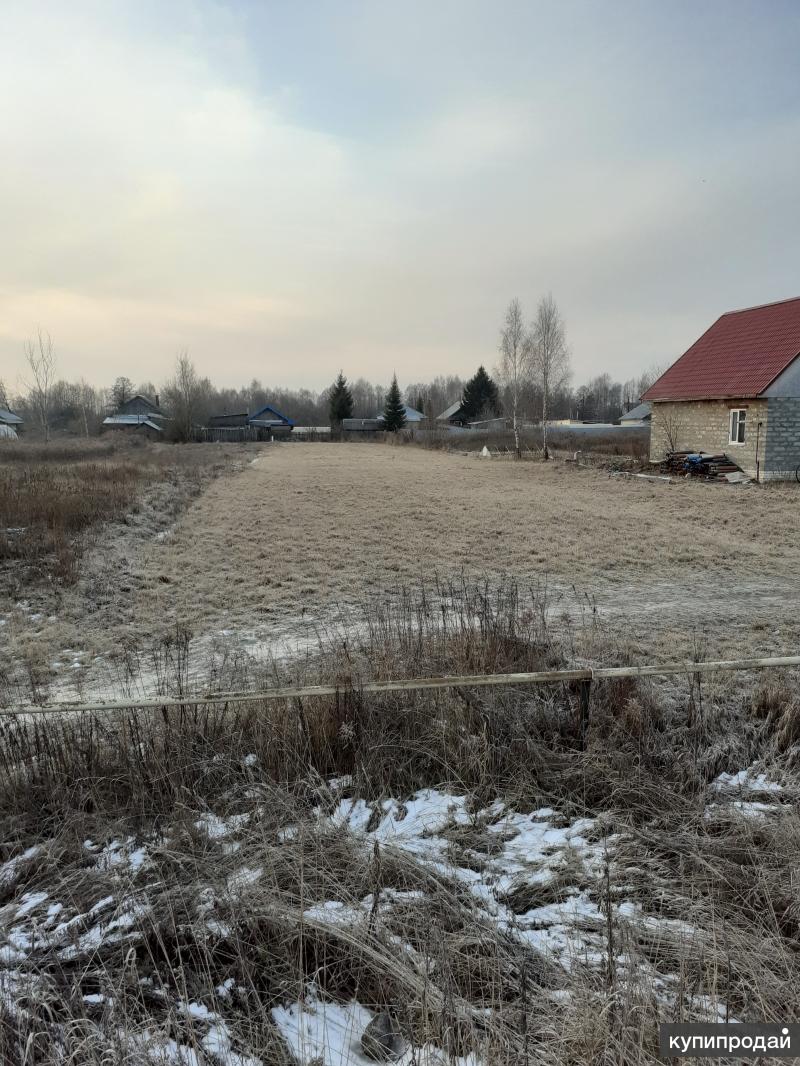 Земельные участки бор. Деревня Оманово Нижегородская область. Д Оманово Бор. 17 Соток земли. Бор ИЖС.