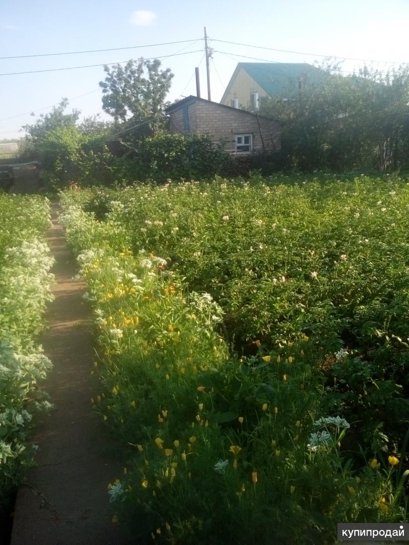 СНТ Маяк в ЖилГородке, город Оренбург, Оренбургский район в Оренбурге