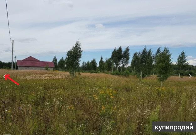 Временный участок. П. Деревня тешеничи брянской области. Поселок нетьинка. Березовая улица мичуринское сельское поселение.