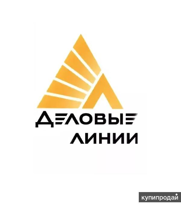 Деловые Линии Магазин Одежды