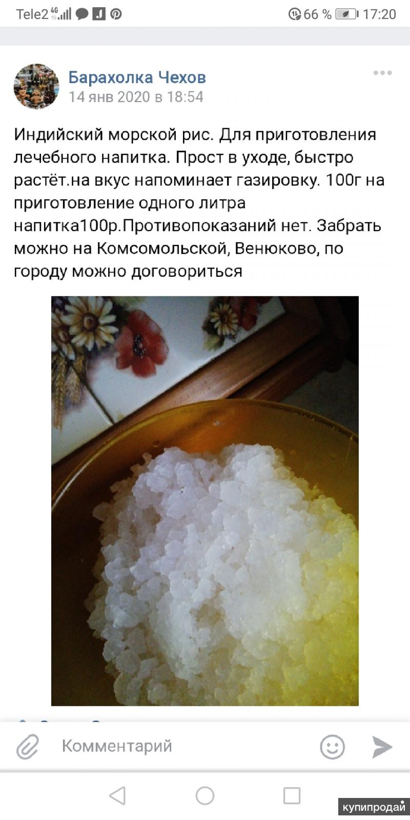 Индийский морской рис в Москве