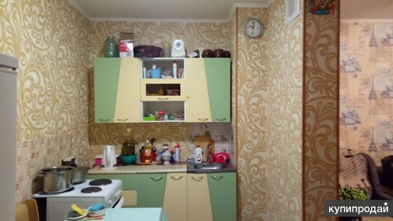 Студия в барнауле. Студия в барнауле от хозяев. Квартира студия в барнауле. Квартирное бюро семья барнаул. Студия в барнауле от хозяев.